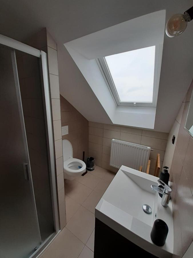 Nad Hristem 441 Appartement Horní Planá Buitenkant foto