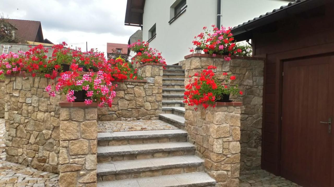 Nad Hristem 441 Appartement Horní Planá Buitenkant foto